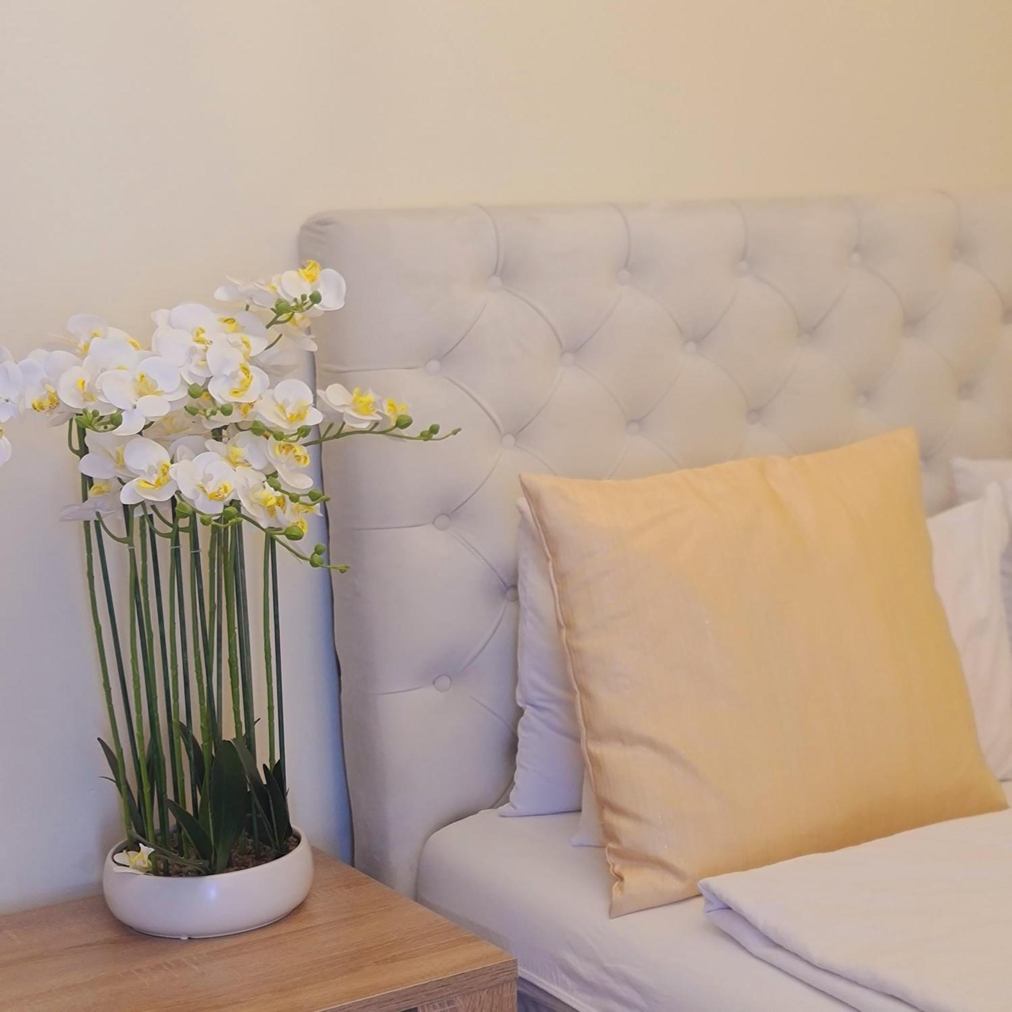 Apartmani Boss Vrnjacka Banja Ngoại thất bức ảnh
